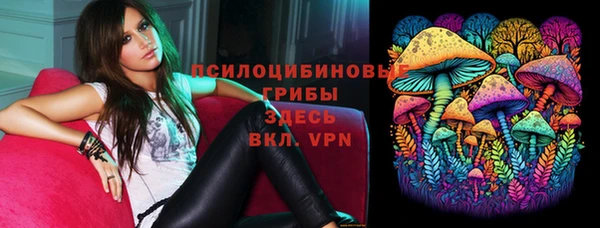 прущая мука Медногорск